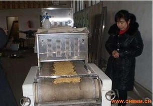 微波大豆脱腥机 专业厂家定做毛豆黄豆脱腥设备 价格 图片